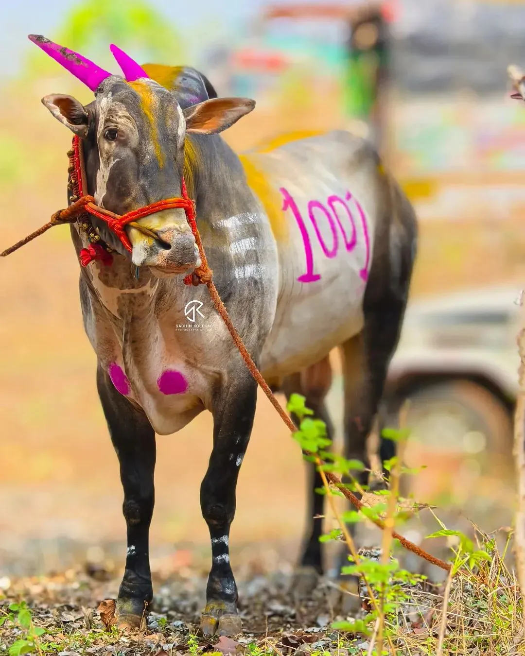 Mathur1001 Bail Image